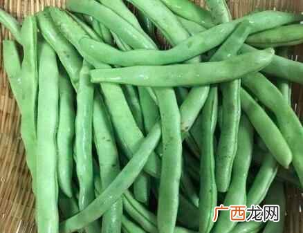 四季豆的功效与作用