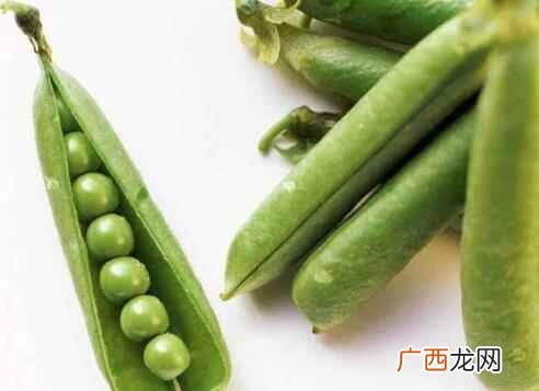 痛风可以吃四季豆吗 四季豆怎么吃