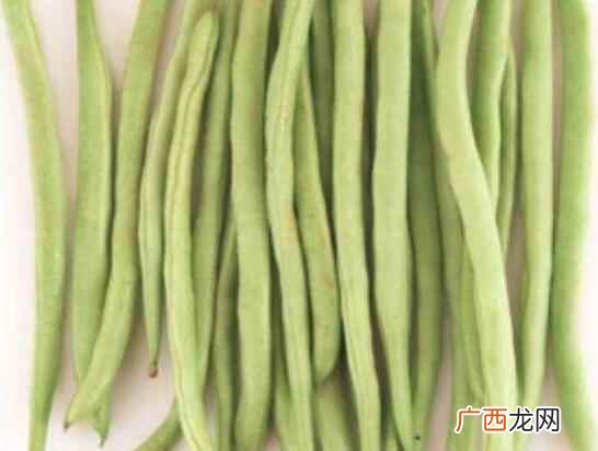 四季豆是不是感光食物 四季豆是感光食物吗