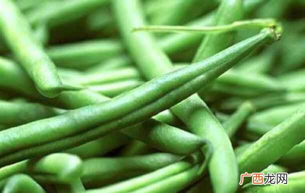 四季豆这种植物可不可以为孕妇所食用 孕妇可以吃四季豆吗