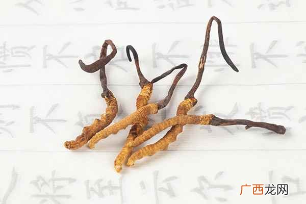 虫草的功效与作用及营养