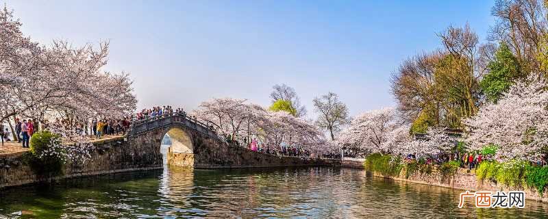 二月花朝是什么意思