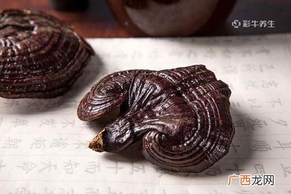 灵芝泡水可以天天喝吗