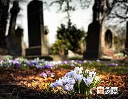 突然频繁梦见死去的亲人是什么意思