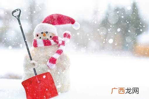 梦见下雪了是什么意思