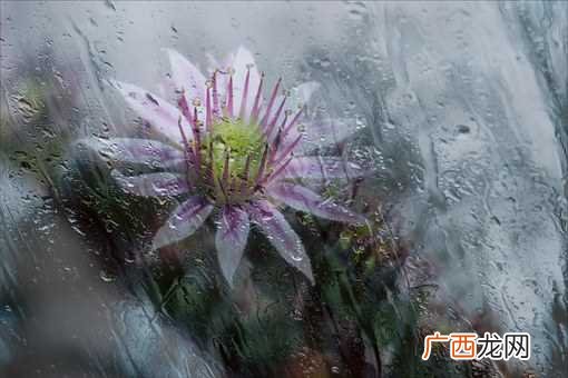 梦见淋雨是什么意思