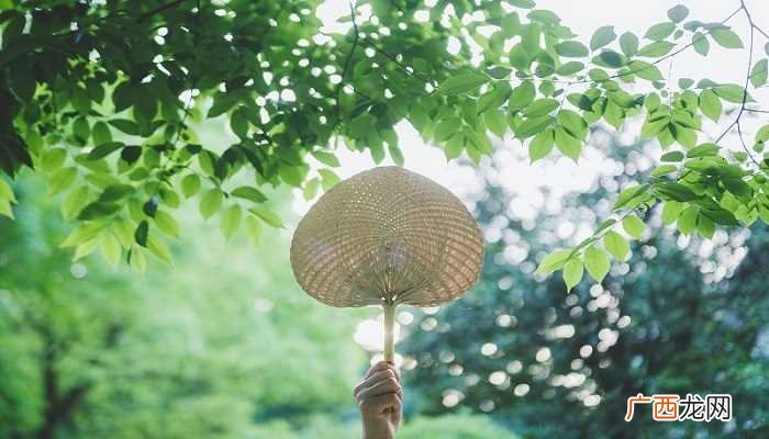 大暑意味着现在是一年中最热的日子 大暑是什么时候代表什么意思