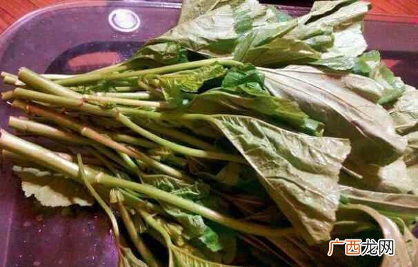 苋菜不能和什么一起吃苋菜营养价值含量十分丰富
