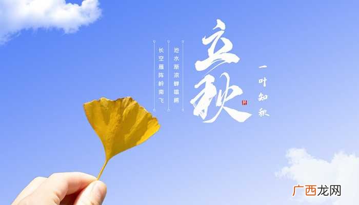 立秋、处暑、白露、秋分四个节气 秋处露秋指的是哪四个节气
