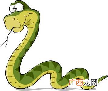 女人梦见很多彩色的蛇是什么意思