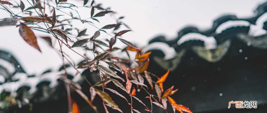 梦见房子漏水什么意思