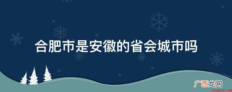 合肥市是安徽的省会城市吗