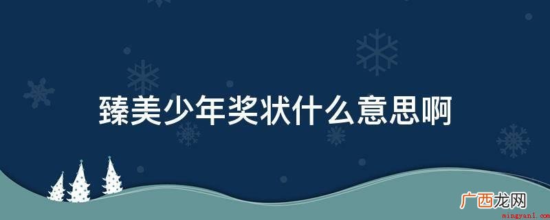 美少年奖是指对心灵美、外表美、性格好、学习好的学生的奖励 臻美少年奖状