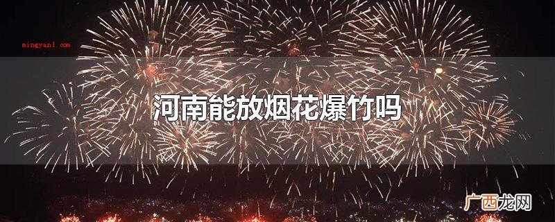 河南能放烟花爆竹吗