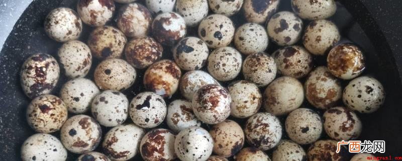 鹌鹑蛋冷水入锅煮5 鹌鹑蛋冷水下锅煮几分钟