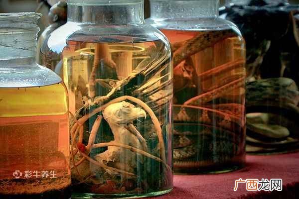 药酒泡多久能喝