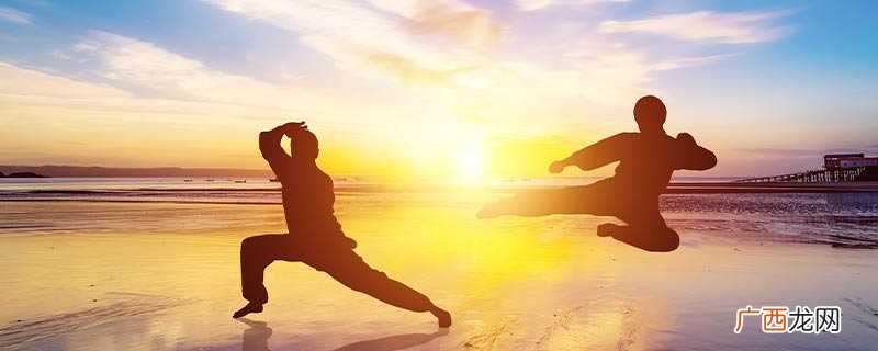 虎鹤双形属于南派少林拳 虎鹤双形属于什么拳