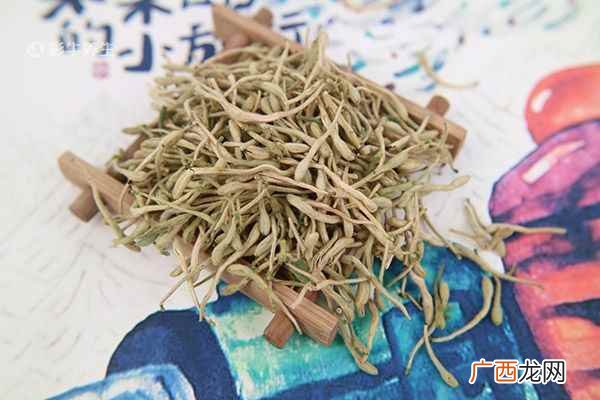 金银花怎么泡水喝的功效和作用