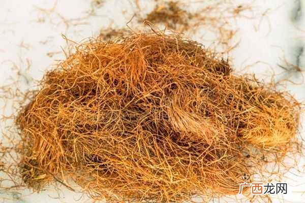 玉米须泡水喝的功效和作用 玉米须正确泡水喝