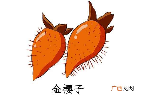 金樱子泡水喝的功效与作用