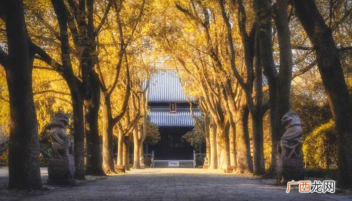 崂山法海寺使用权移交仪式 崂山法海寺建于哪个朝代