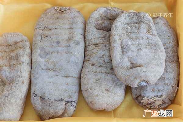 干天麻怎么泡软