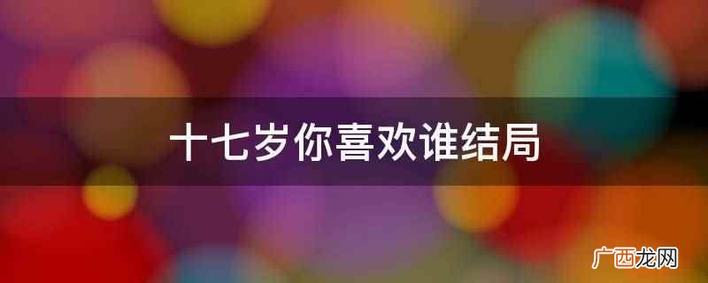 十七岁你喜欢谁结局是美好的