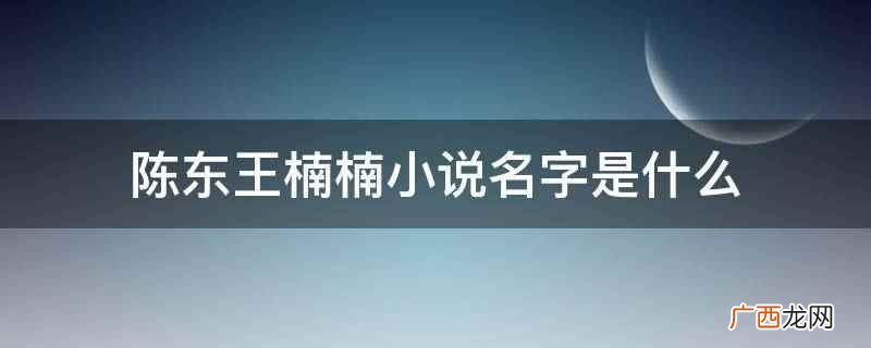 陈东王楠楠小说名字是《胜者为王》 陈东王楠楠小说名字是什么
