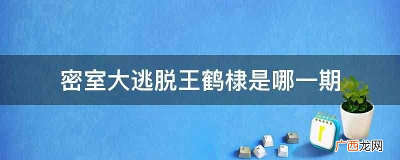 密室大逃脱王鹤棣是第四季第十期 密室大逃脱王鹤棣是哪一期