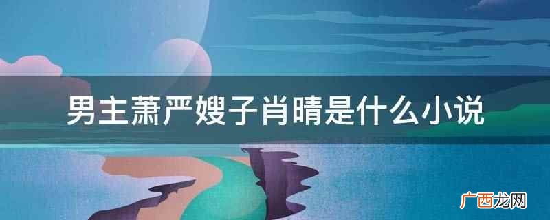 男主萧严嫂子肖晴是小说 男主萧严嫂子肖晴是什么小说