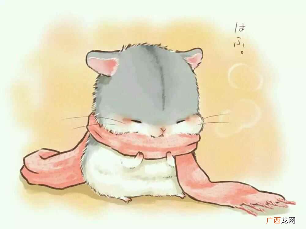 暖和的拼音