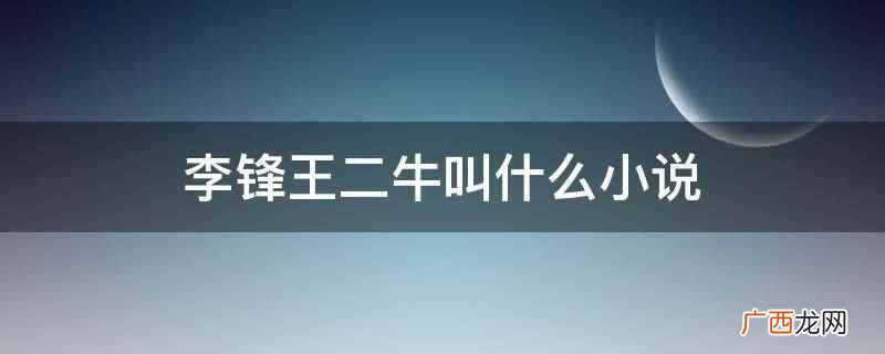 李锋王二牛小说叫《王牌将军》 李锋王二牛叫什么小说