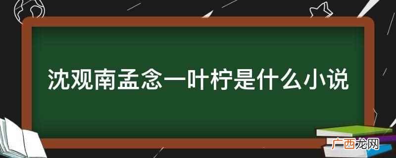 沈观南孟念一叶柠是小说 沈观南孟念一叶柠是什么小说