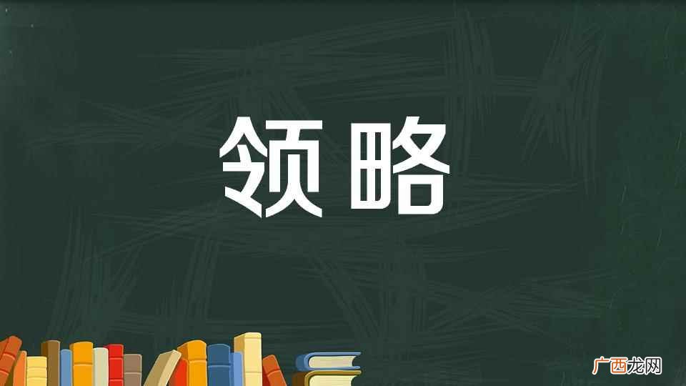 领略的意思