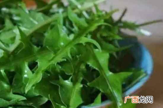 如何挑选苦菜