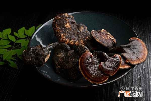 灵芝泡酒怎么泡
