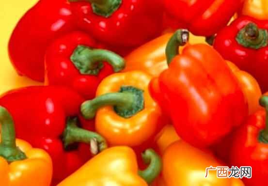 彩椒炒鸡蛋中的营养价值有哪些 彩椒的做法