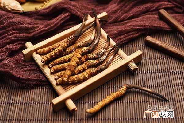 虫草泡酒有什么功效