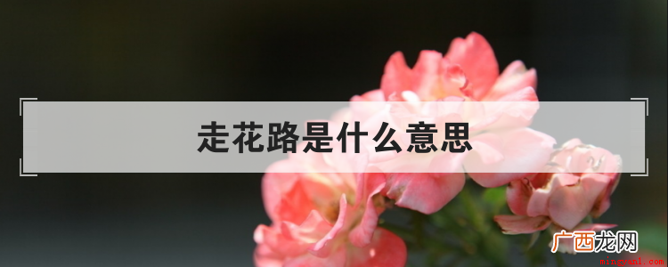 走花路,网络流行词,意思是走美丽、顺利、平坦的道路