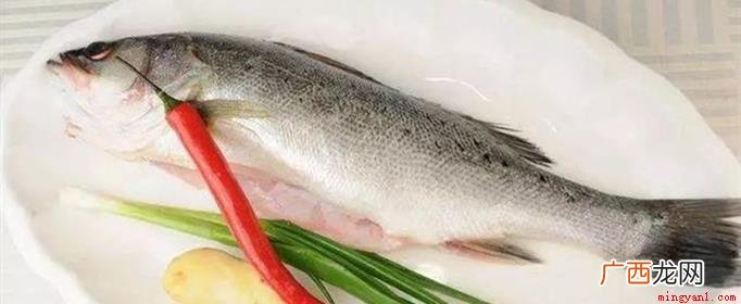 养殖鲈鱼时要为其搭设好相关的投喂饲料台 鲈鱼是淡水鱼还是海鱼