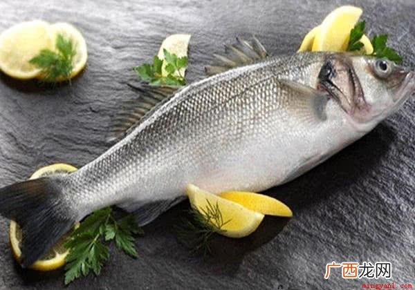 养殖鲈鱼时要为其搭设好相关的投喂饲料台 鲈鱼是淡水鱼还是海鱼