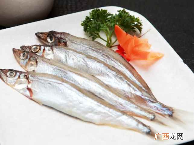 多春鱼是海鱼吗