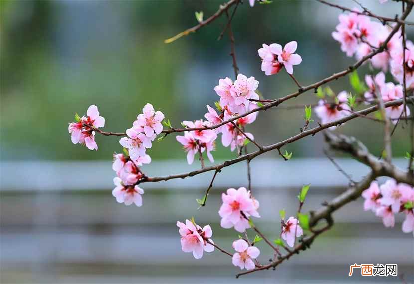 春天像个什么补充完整二年级