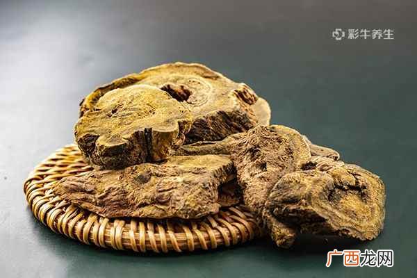 大黄泡水的功效与作用 大黄泡水的方法