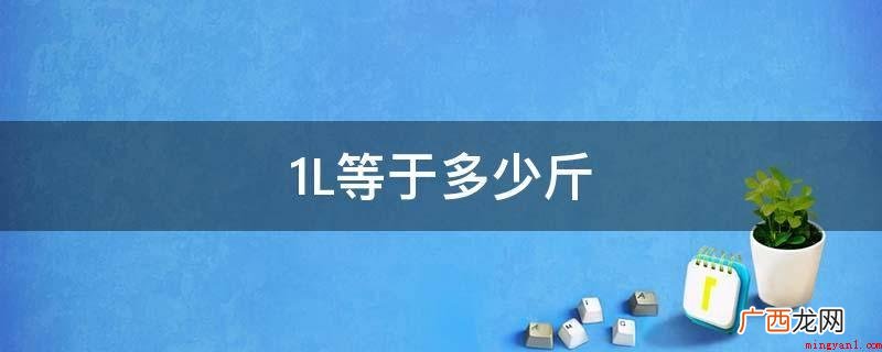 1L等于多少斤