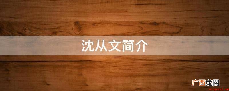 沈从文简介
