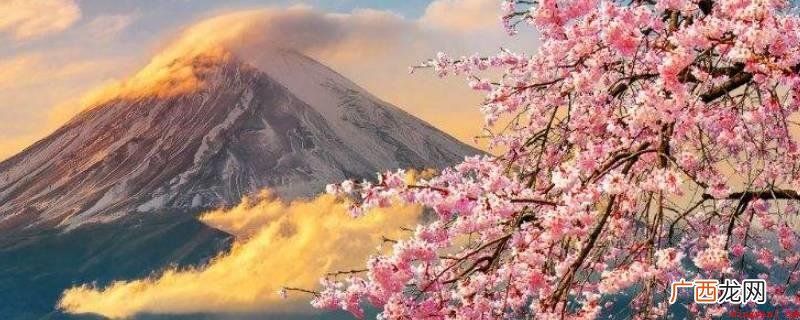 日本面积多大