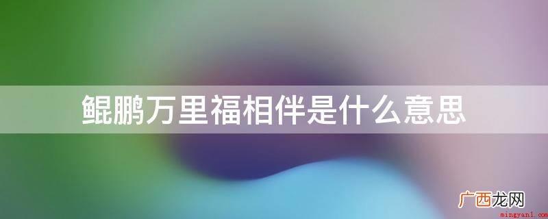 鲲鹏万里福相伴是什么意思