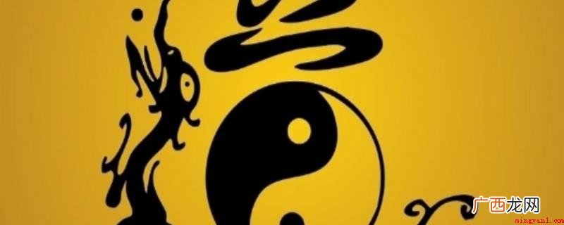 表文宝号是什么
