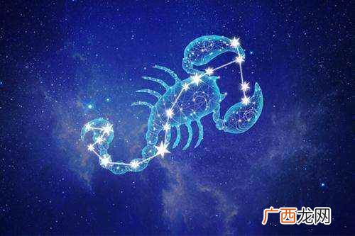 11月13日是什么星座